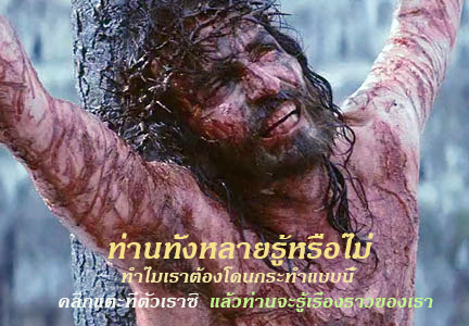 ¹ͧǢͧ ÷çͧ«٤ʵ õºҧࢹͧФʵ ʹһзҹѺҷҧкص Сʢǻ԰ ͡ á